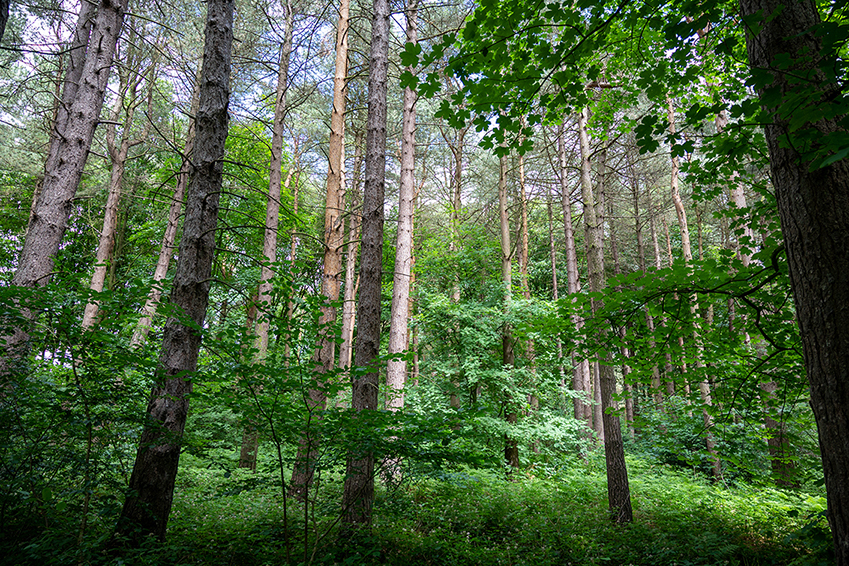 Sherwood Business Park Walk